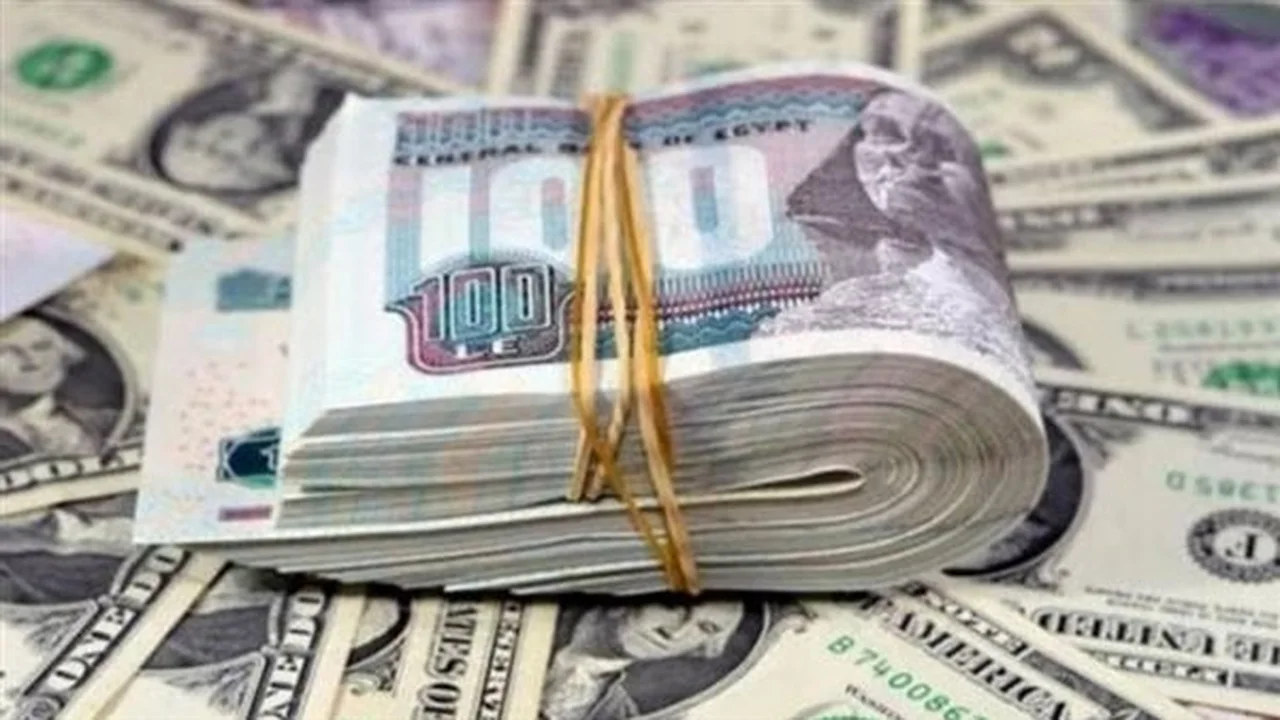 تحديث العملة الصعبة.. سعر الدولار مقابل الجنيه المصري في مصرف أبو ظبي الإسلامي